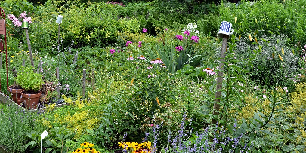 Bauerngarten, Garten